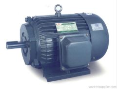 Y series three phase electric motor