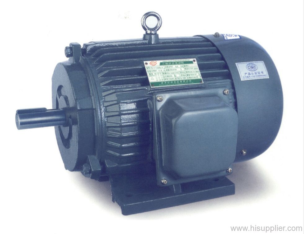 electric motor