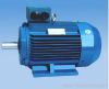 Y2 three phase electric motor