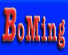 Ningbo Boming Auto Parts Co.,ltd