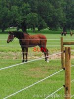 horse farm fence