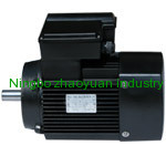 Single Phase Induction Motor