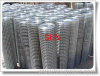 Galvanized Fencing Net