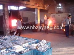 Ningbo Zeyang Machinery Co., Ltd.