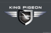 King Pigeon Alarms Company