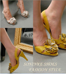 lady fashion shoes