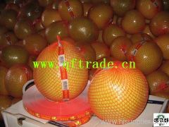 Xiamen Qianfa Import & Export Co.,Ltd.