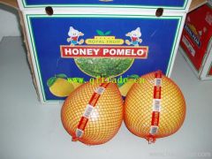 china honey pomelo