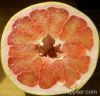 red honey pomelo