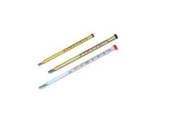 red Caput Clinical Thermometer