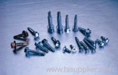 Self Tapping Screw