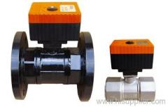 Electric Valves