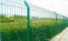 wire mesh fence