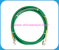 Electric Iron Steam Hose