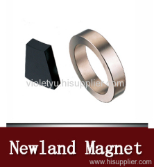 NdFeB Permanent Magnets