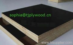shuttering plywood