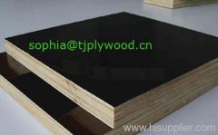 bendable plywood