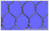 hexagonal wire netting