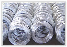 Galvanized Iron Wire