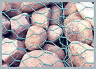 Hexagonal wire mesh