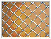 Chain Link Fence