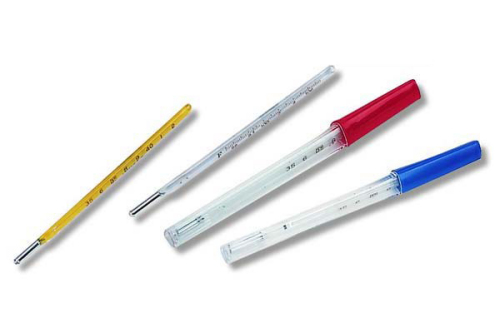 Oral Clinical Thermometer