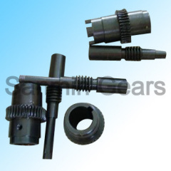 Worm Gear