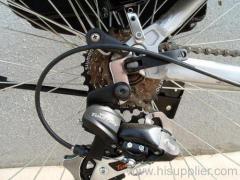 Mountain E-Bike