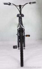 Electric bike