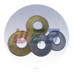 Wire Mesh Disc