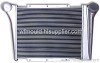 radiator grille mould