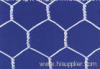 Hexagonal Wire Mesh