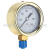 Cast Brass Liquid Filled Gauge