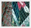 chain link fence