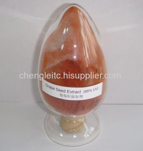 Grape Seed Extract