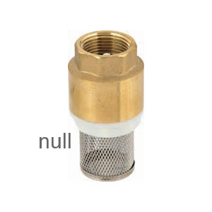 Spring Check Valve