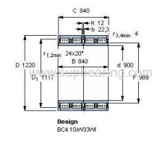 316043 SKF