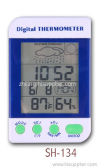 Digital Thermometer