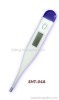 Digital Clinical Thermometer