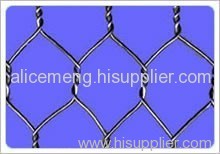 Hexagonal wire mesh