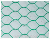 hexagonal mesh