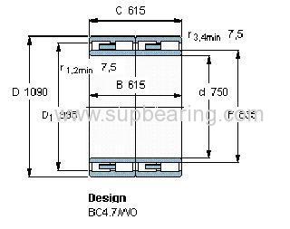 NNUD 60/750 M bearing