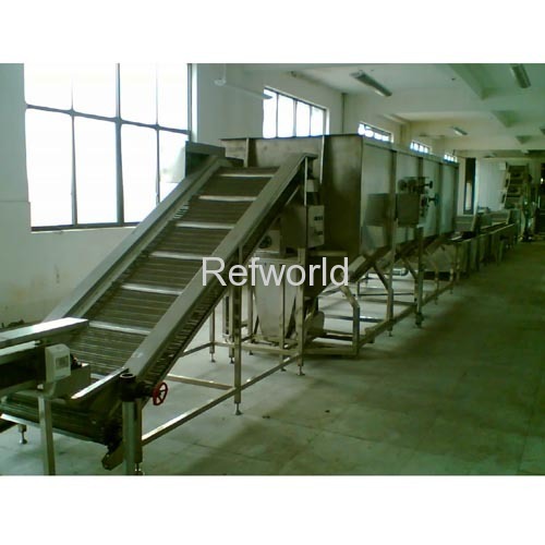 vegetable pretreatment production flow line