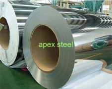 Foshan Apex Stainless Steel Co.,Ltd