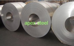 Foshan Apex Stainless Steel Co.,Ltd