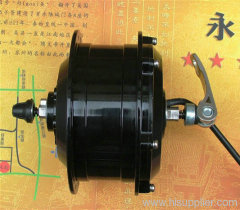 Brushless hub motor