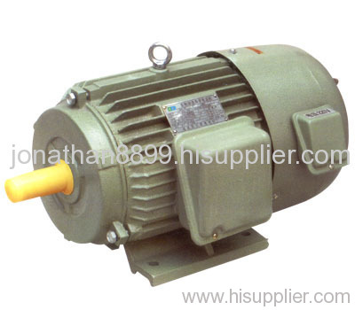 electric motor