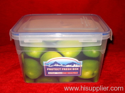 pliastic Food Storage box