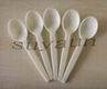 earth friendly PSM soup spoon