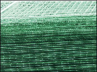 Welded Mesh Panel